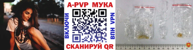 Альфа ПВП СК КРИС  Слободской 