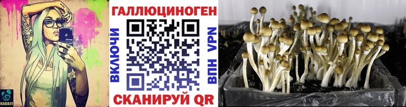 Псилоцибиновые грибы мухоморы  хочу наркоту  Слободской 